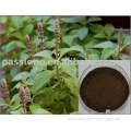 Very better price for Coleus Forskohlii Extract 10%,20% Forskolin, Natural Herbal extract